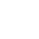 bride Icon
